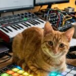 Profile picture of zoe_launchpad