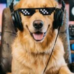 Profile picture of shades_dog_audio