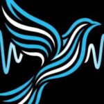 Profile picture of bird_audio_wave